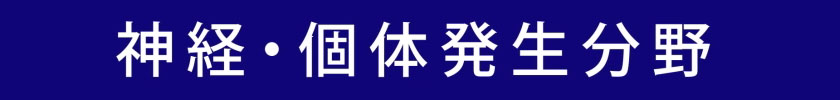 神経・個体発生分野