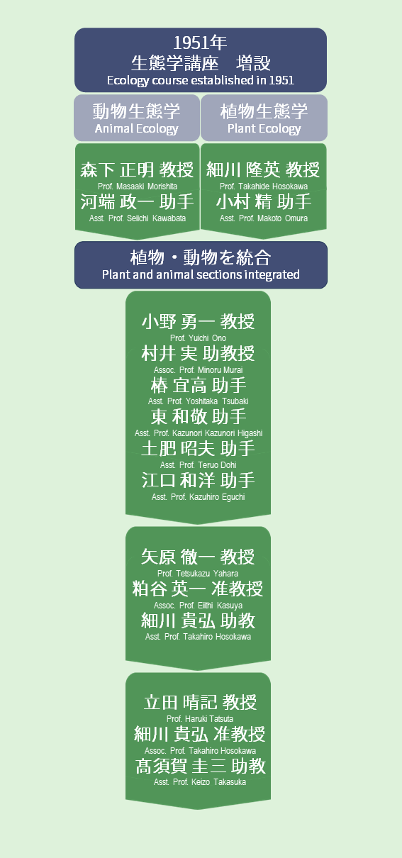 Prof succession image