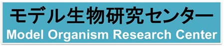 top-logo