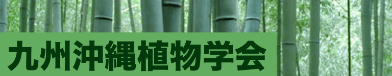 バナー画像
